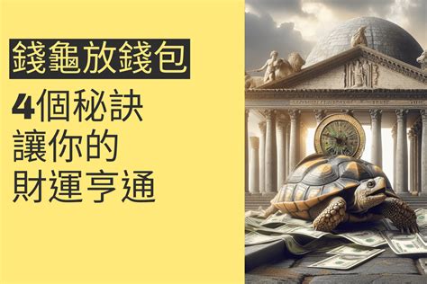 錢龜要放哪裡|錢龜怎麼放？財運亨通的擺放學問－天然水晶分享小天地｜痞客